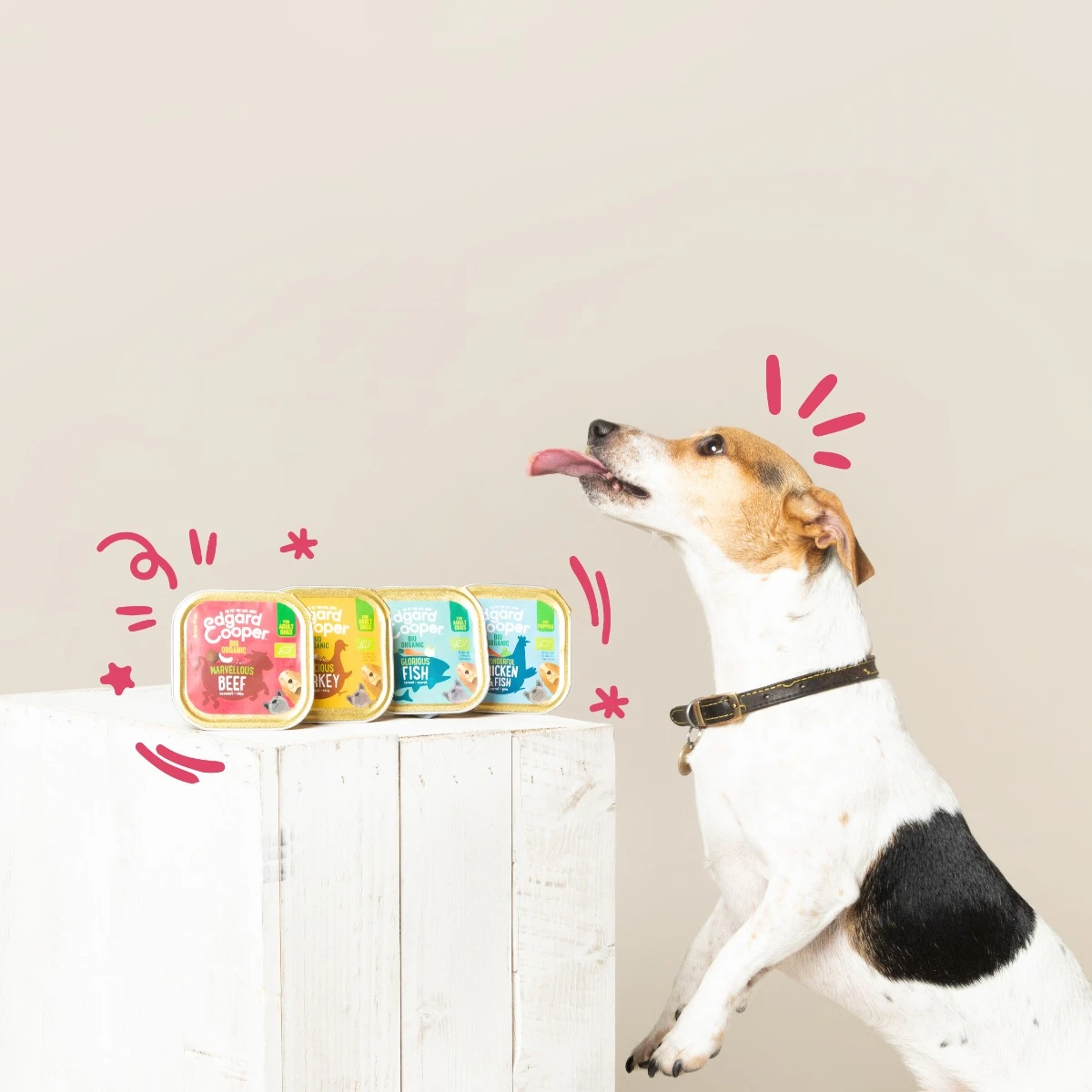 Edgard & Cooper Adult Grain Free Bio 100gr - Bio Tacchino - immagine 2