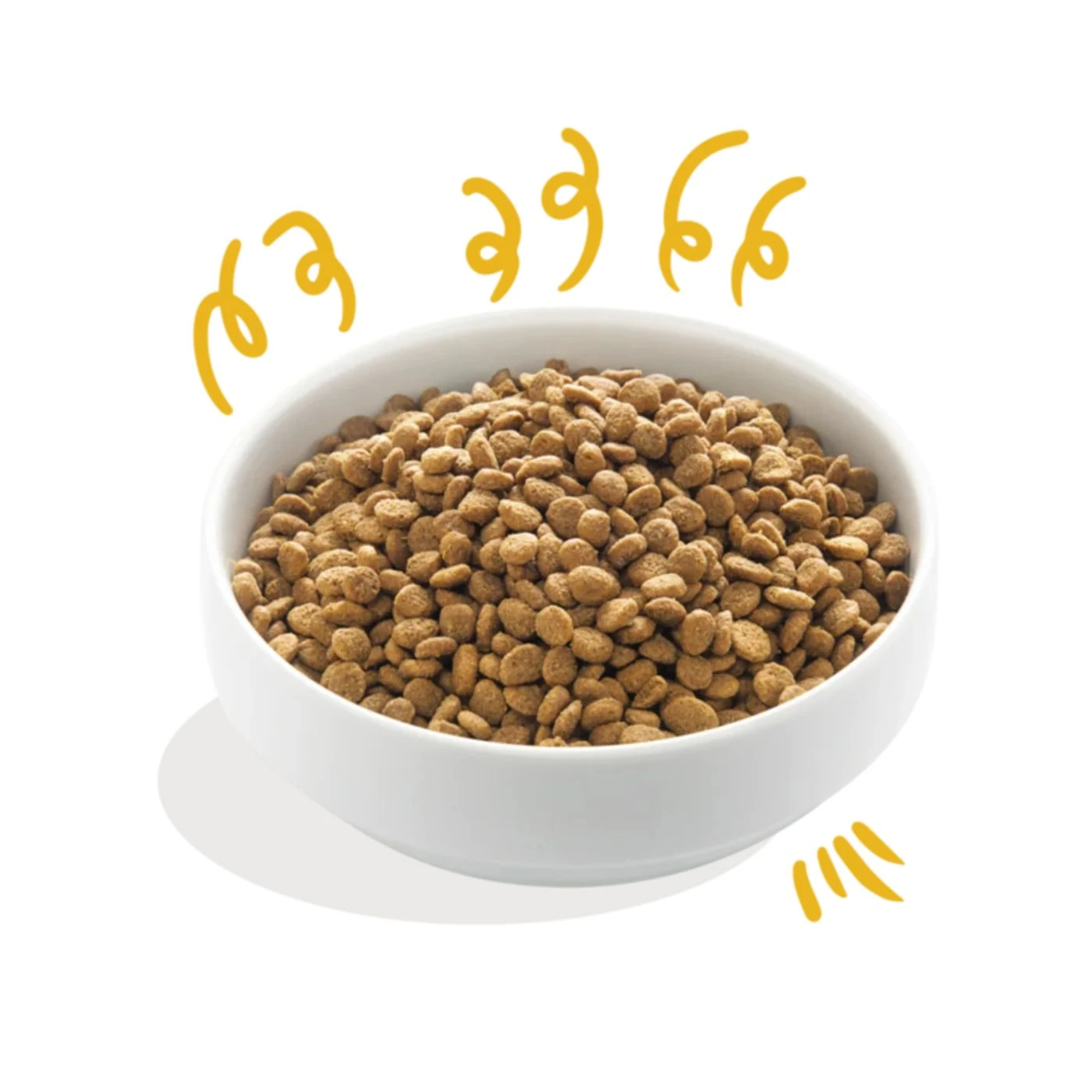 Edgard & Cooper Adult Carne Fresca Di Tacchino E Pollo Biologici Gluten Free Per Cani - immagine 2