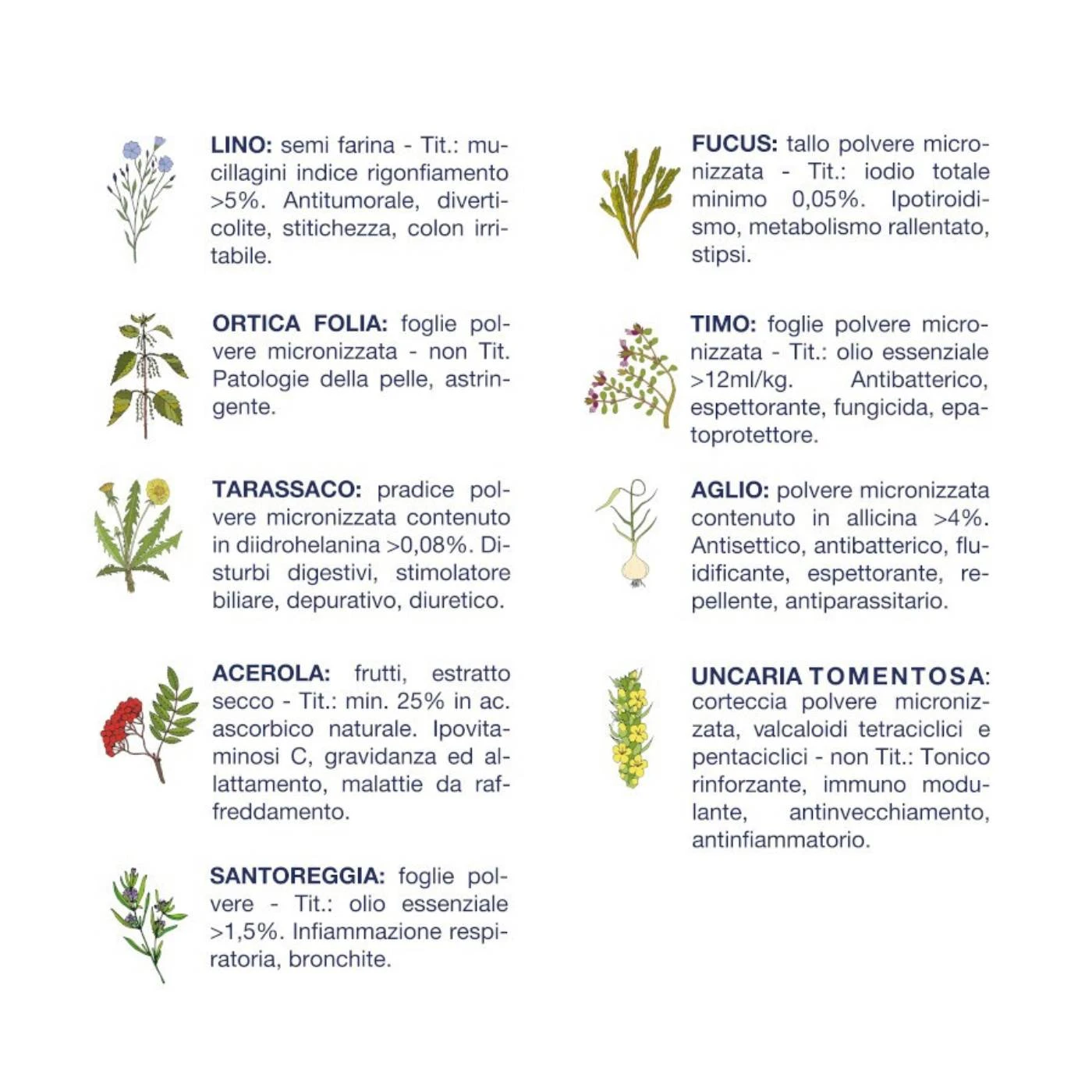 Vet Line Linea Salute Pesce Per Cani Adulti VetLine - immagine 3