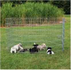 Recinto Per Cuccioli Trixie - ø 154×91 Cm