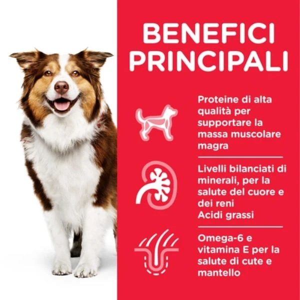 Hill's Science Plan Mature Adult 7+ Alimento Per Cani 370 Gr - Pollo - immagine 3